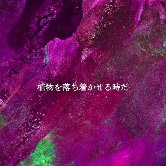 植物を落ち着かせる時だ