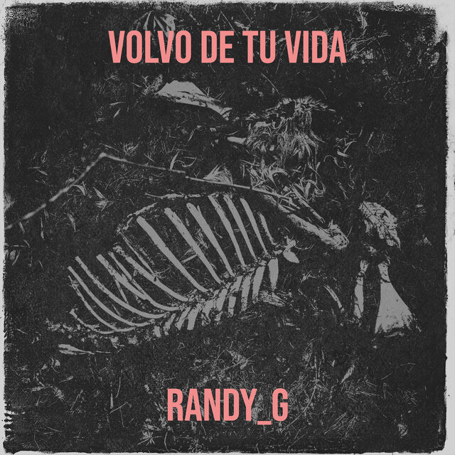 Volvo De Tu Vida