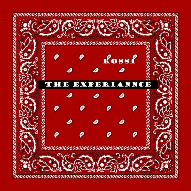 the experience
