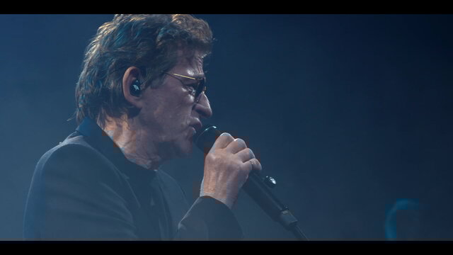Alligators 427 (Live Replugged) (Visualizer Officiel)