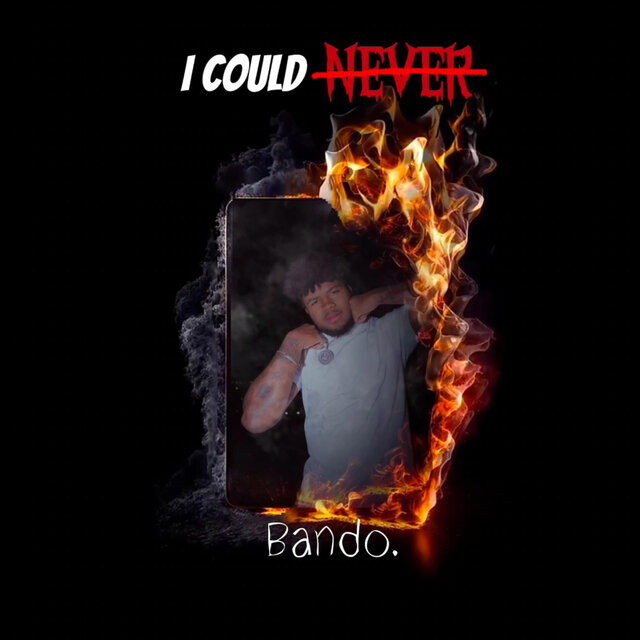 I Could Never