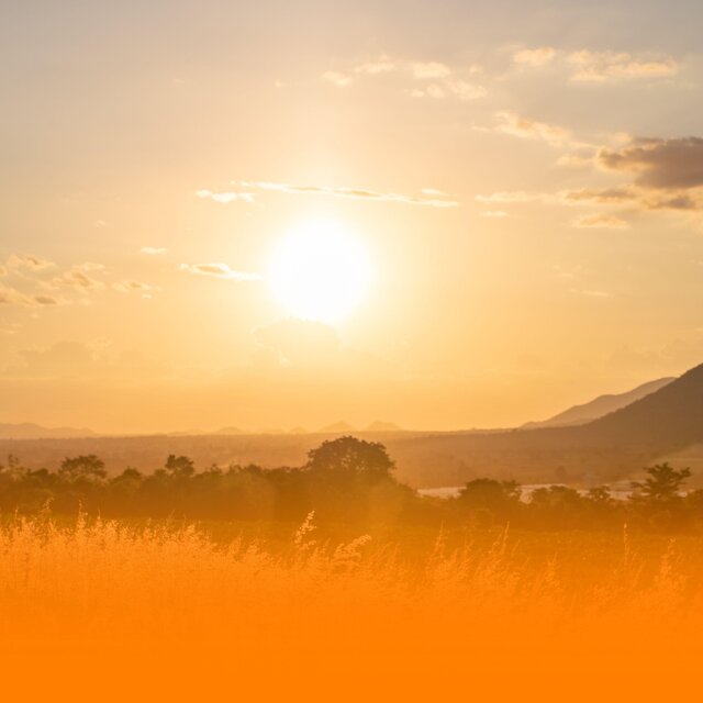 Healing Ambient Music With Nature Sounds And Gentle Piano For Anxiety Relief And Mindfulness