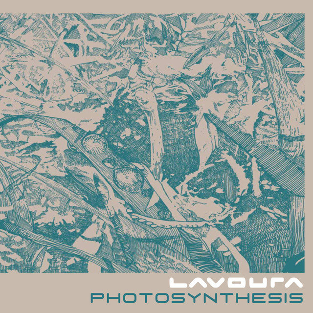 Photosynthesis
