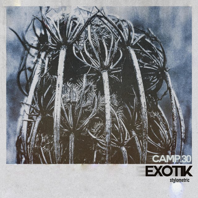 Exotik