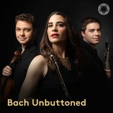 Brandenburg Concerto No. 5 in D Major, BWV 1050: I. Allegro