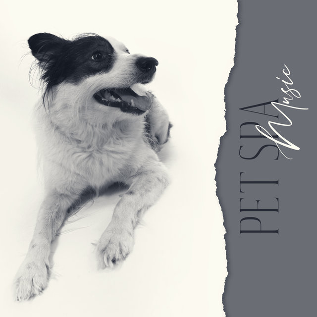 Pet Spa Music - Sounds for Care and Love for Dogs, Cats, Hamsters and Guinea Pigs