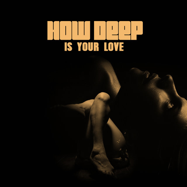 How Deep Is Your Love (Bossa Nova)
