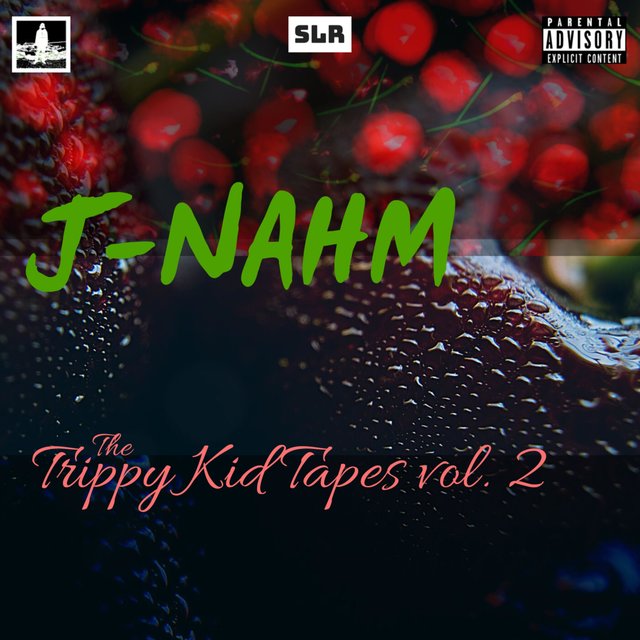 The Trippy Kid Tapes, Vol. 2