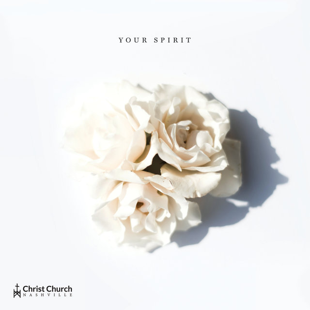 Your Spirit