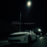 Lonely Knight