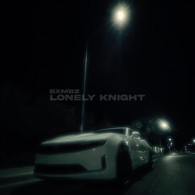 Lonely Knight