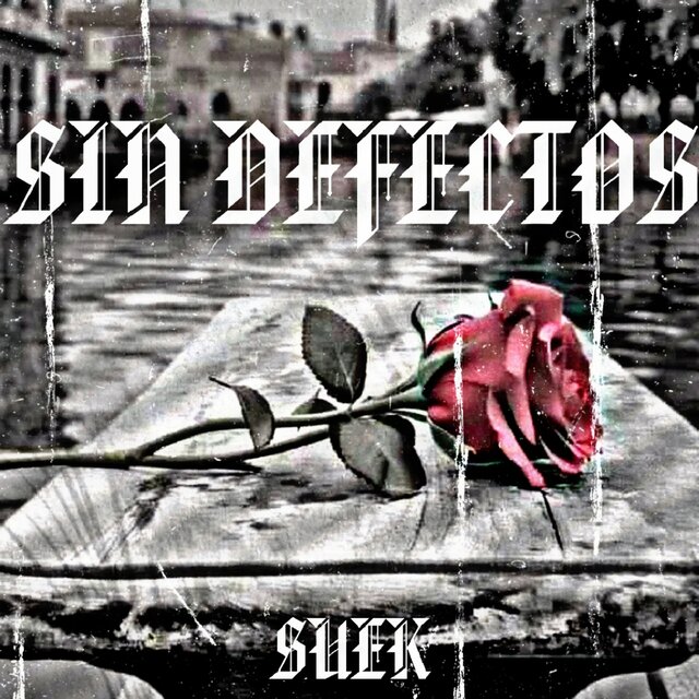 Sin Defectos