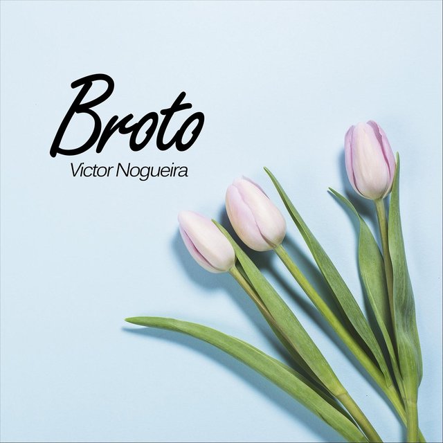 Broto