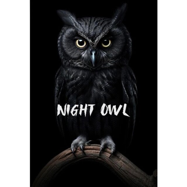 Night Owl (feat. Cassh Cartel, B blazo & Kingfrom98)