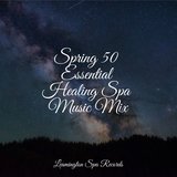 Reiki Healing