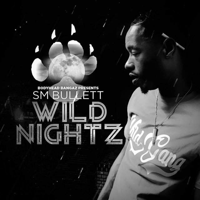 Wild Nightz