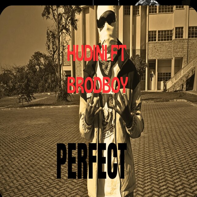 Perfect (feat. Brodboy)