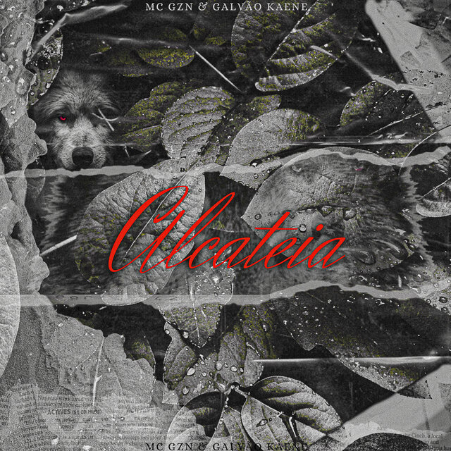 Alcateia