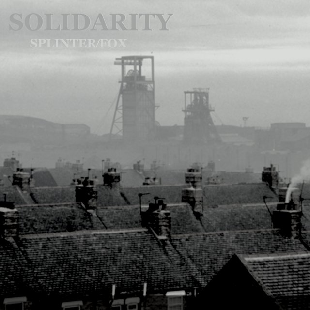 Solidarity