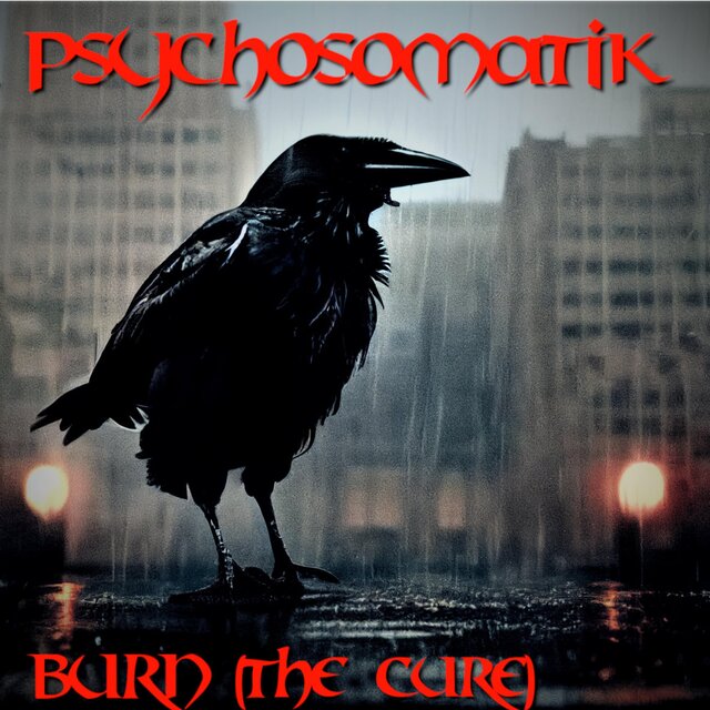Burn (The Cure's Cover from the movie "The Crow")
