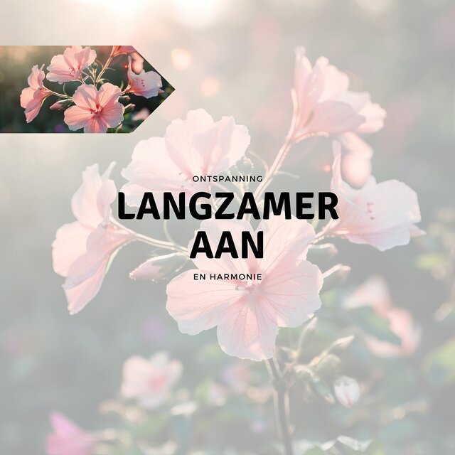 Langzamer Aan