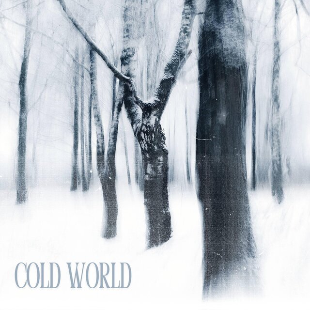 Cold World (feat. $OBAY & SL4B)
