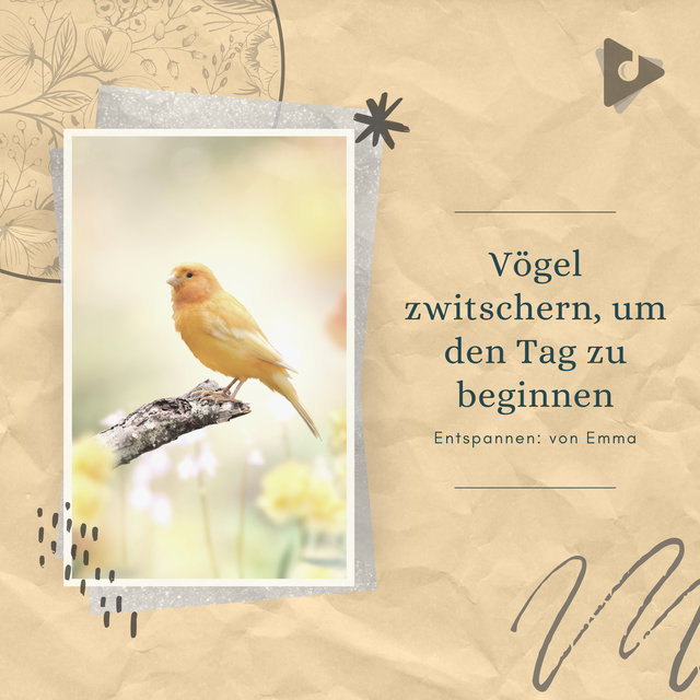 Vögel zwitschern, um den Tag zu beginnen