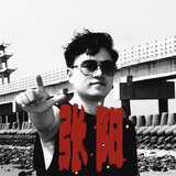 回到鸽子花城