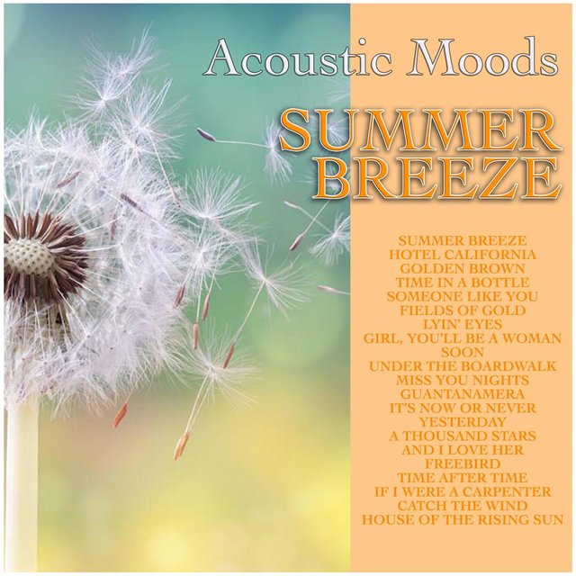 Summer Breeze