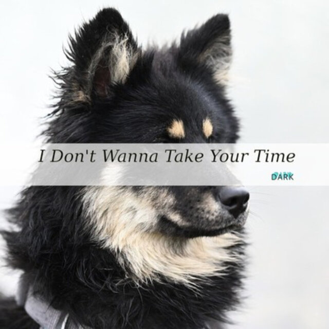 I Don't Wanna Take Your Time