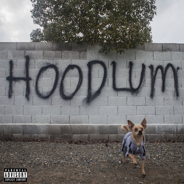 Hoodlum