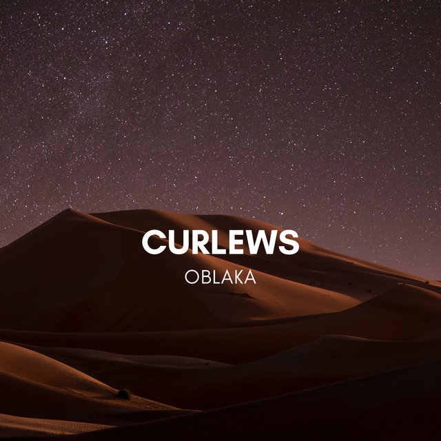Curlews