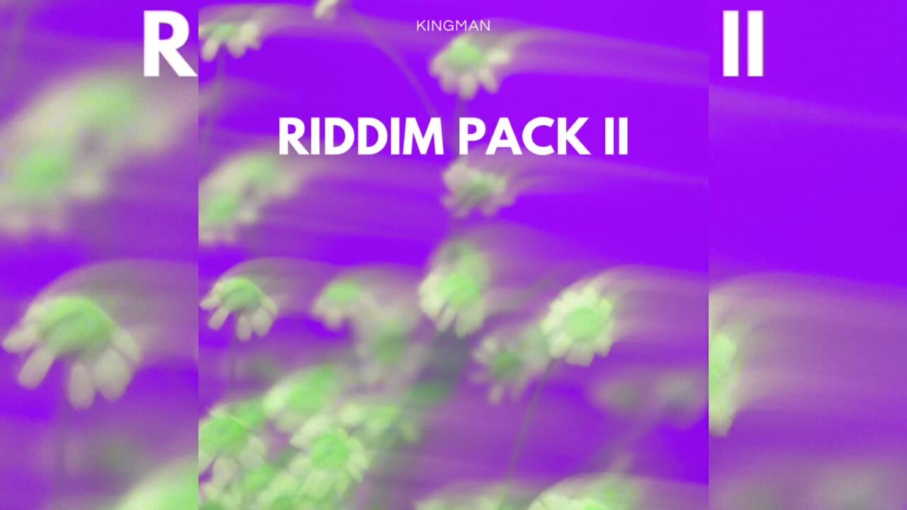 Fraud Riddim