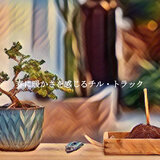 Quiet Ambiance for Rejuvenating Winter Air