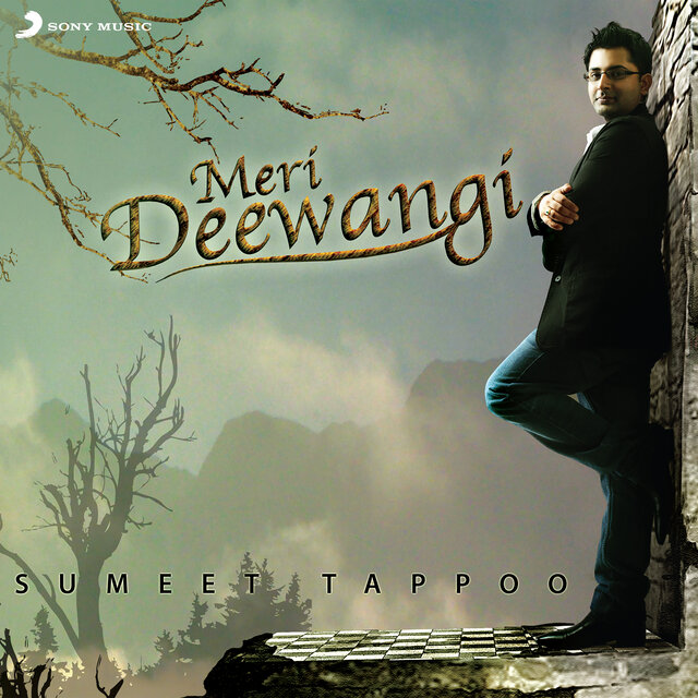 Meri Deewangi