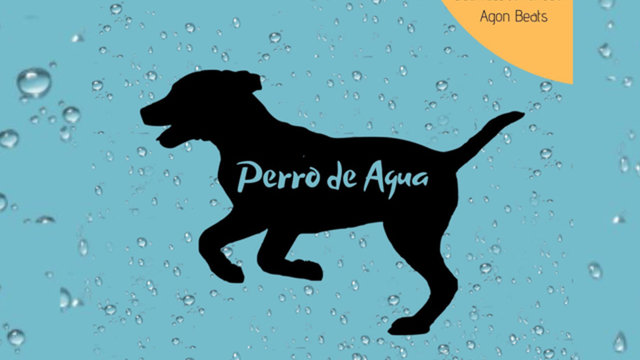 Perro de Agua