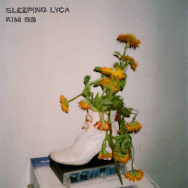 Sleeping Lyca