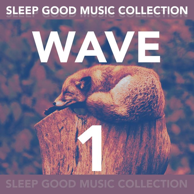 Wave 1