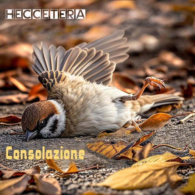 Consolazione