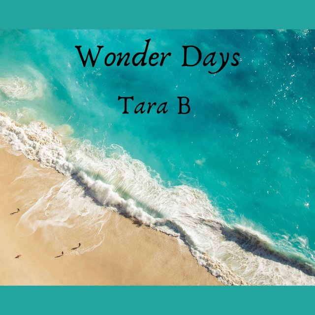 Wonder Days