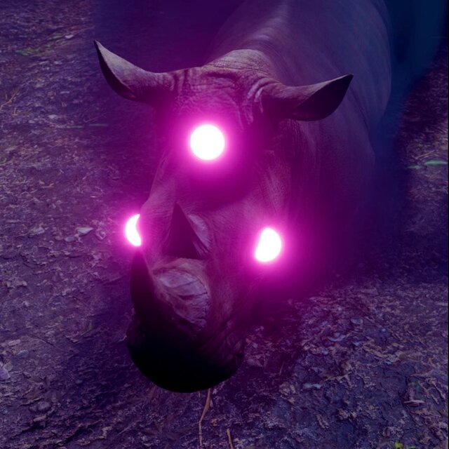 Nocturnal Circle 4