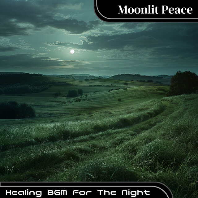 Healing BGM For The Night