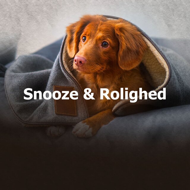 Snooze & Rolighed