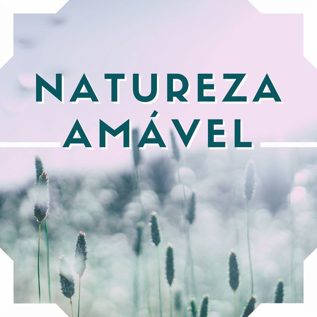 Natureza Amável: Música Zen Contra o Estresse, Relaxar Corpo e Mente com Natureza