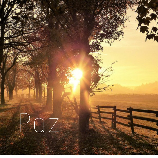Paz