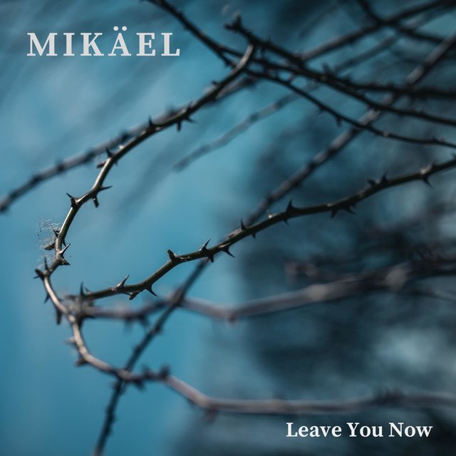 Mikäel on TIDAL