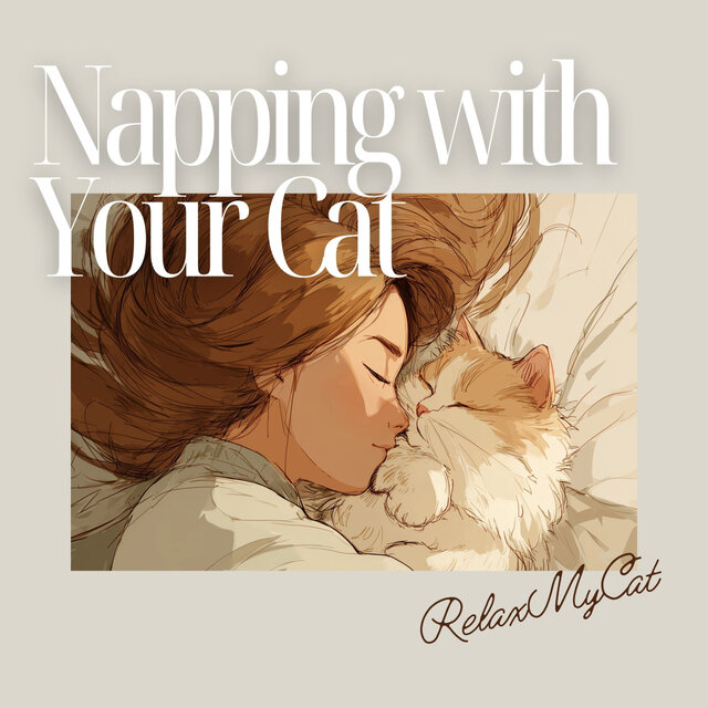 Napping with Your Cat