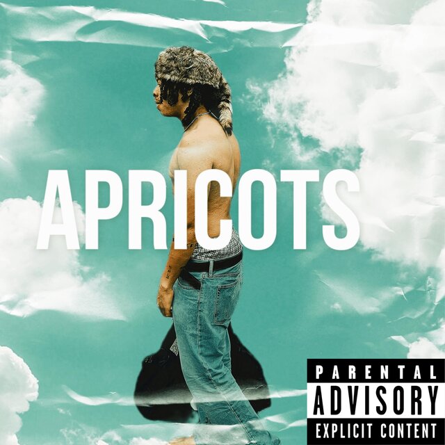 Apricots