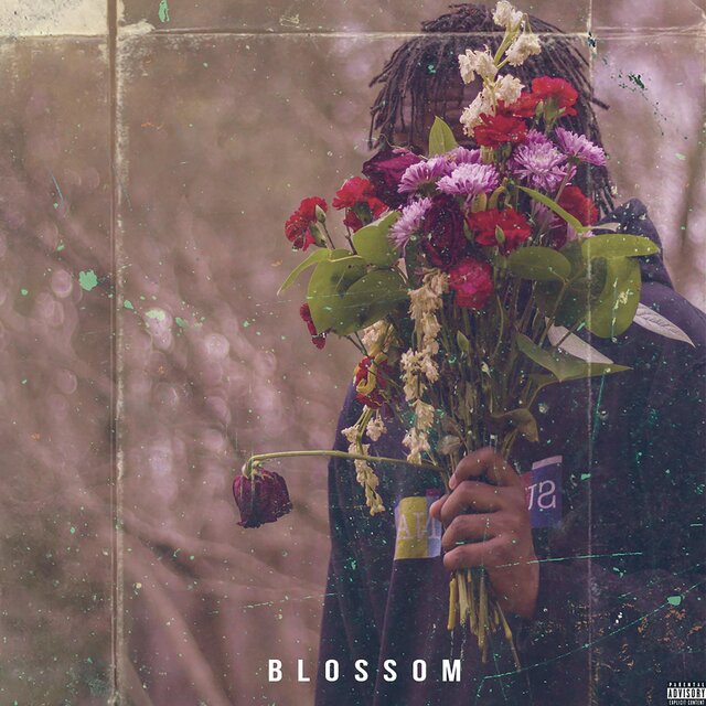 Blossom (Delluxe Edition)