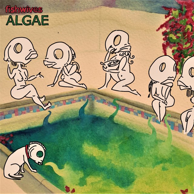 Algae